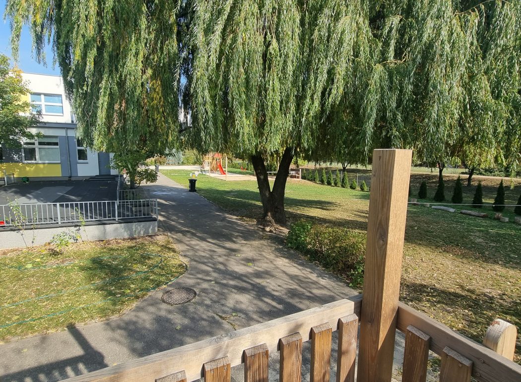 widok z wieży widokowej na asfaltową ścieżkę, taras i duże drzewo