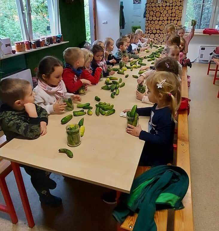 Dzieci wkładają ogórki do słoików