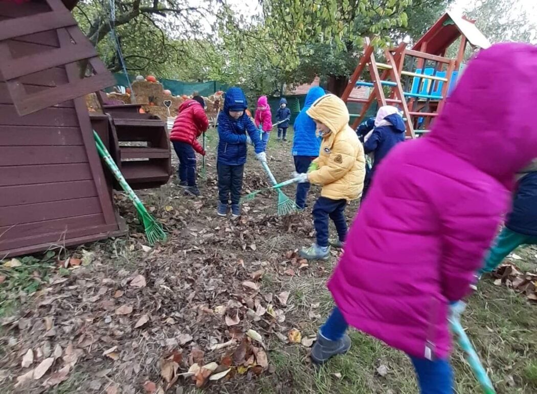 dzieci zagrabiają grabiami liście